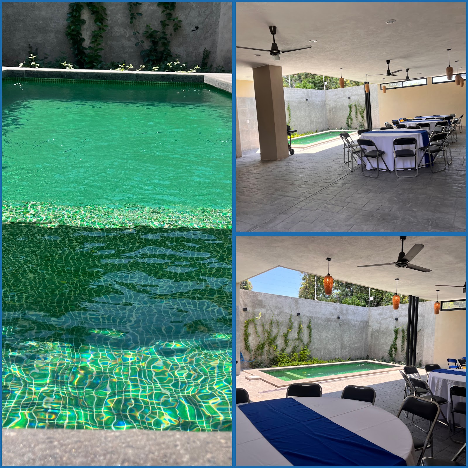 leetx-google-photo-81947-8 leetx-google-photo-81947-8