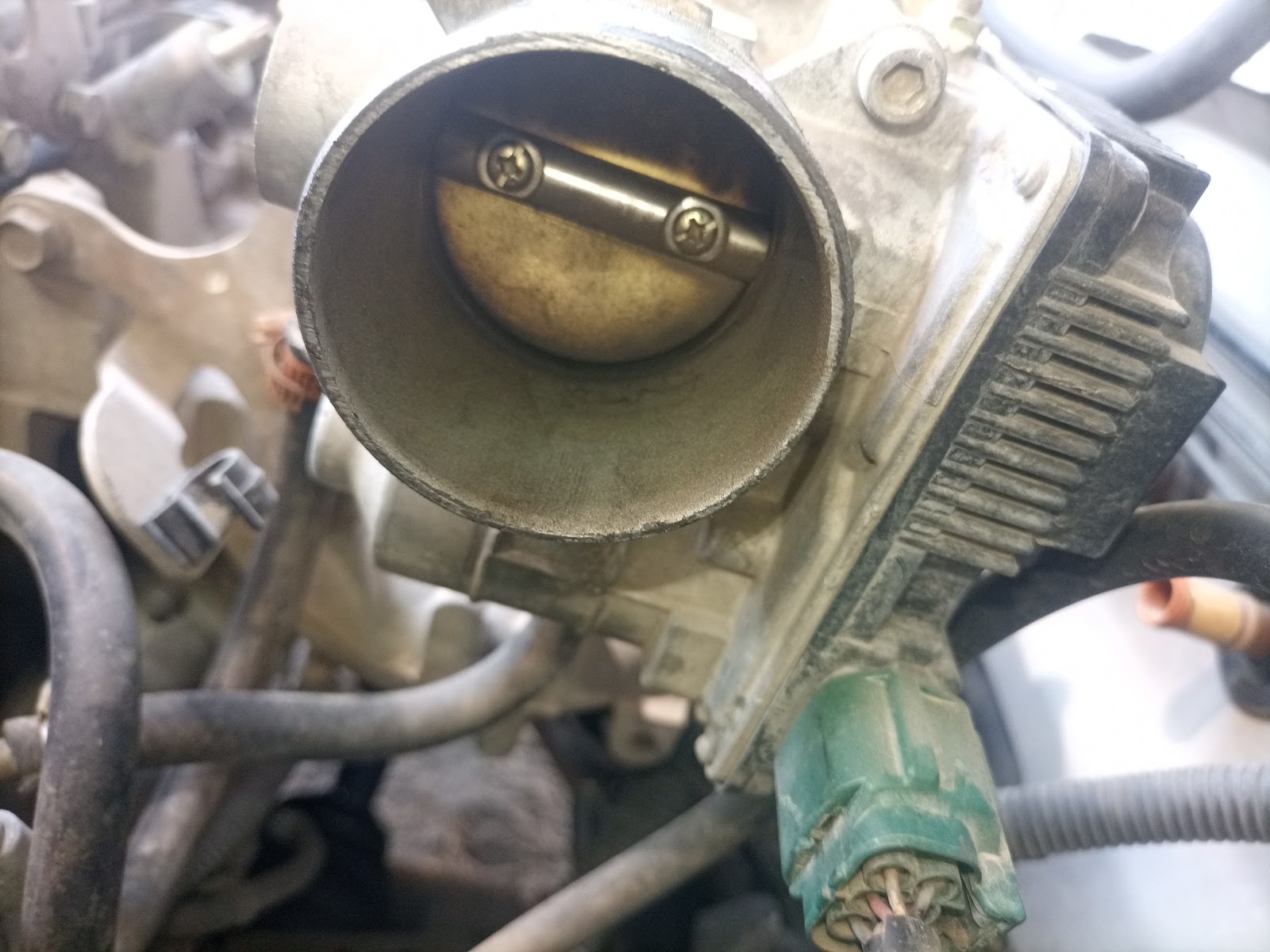 leetx-google-photo-82924-2 leetx-google-photo-82924-2