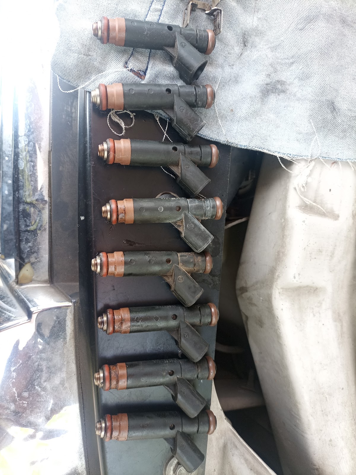 leetx-google-photo-82924-3 leetx-google-photo-82924-3