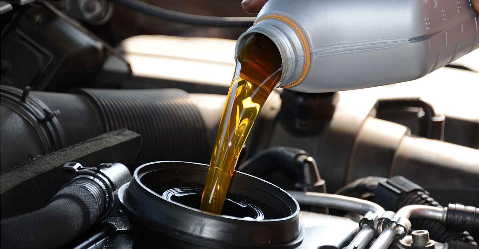 leetx-google-photo-83555-2 leetx-google-photo-83555-2