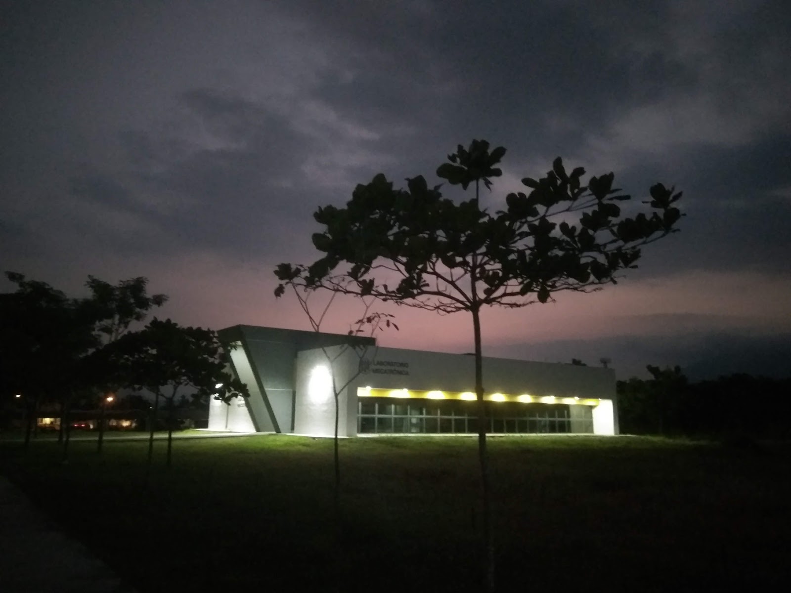 leetx-google-photo-85225-2 leetx-google-photo-85225-2