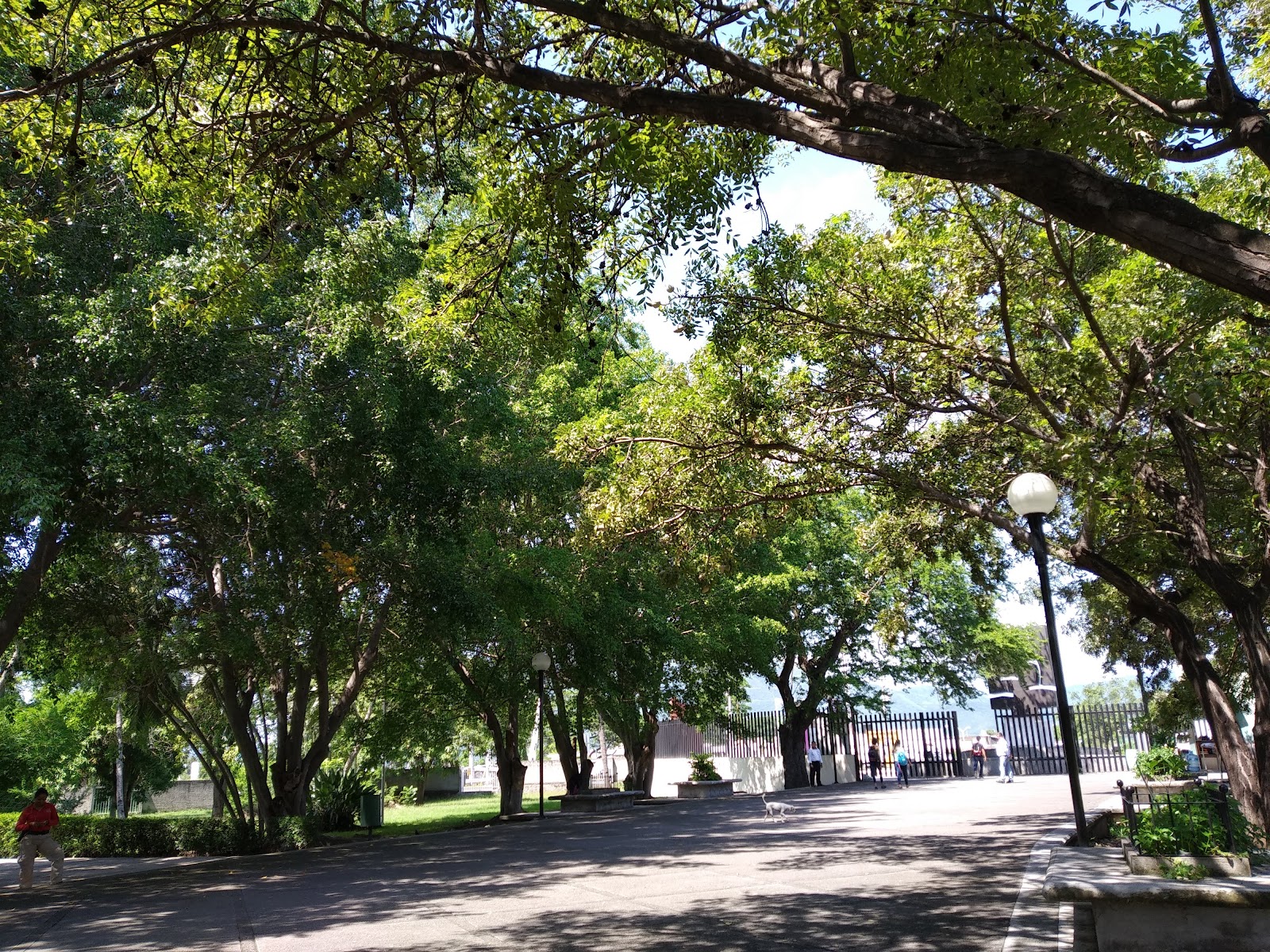 leetx-google-photo-85225-4 leetx-google-photo-85225-4