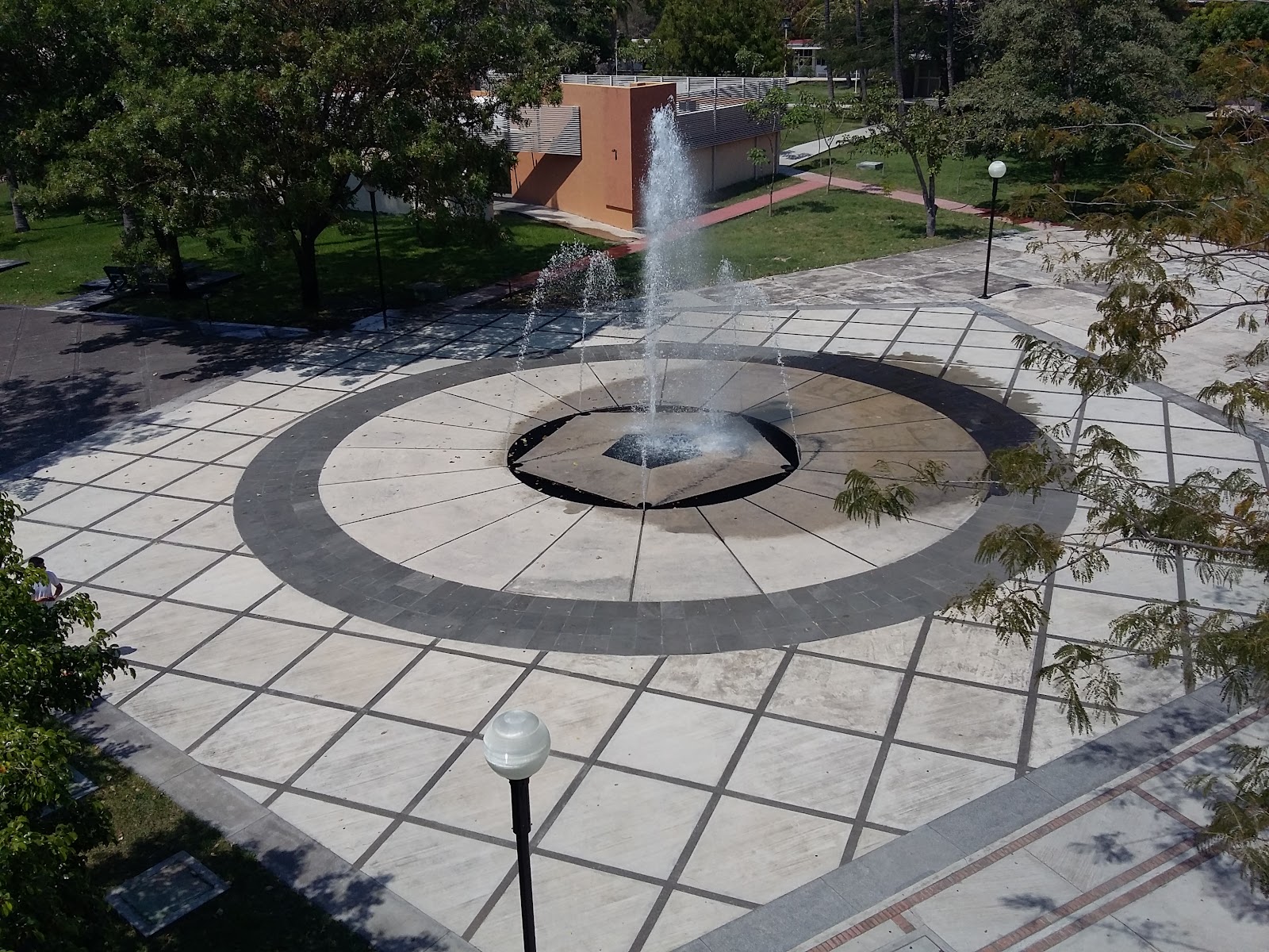 leetx-google-photo-85225-6 leetx-google-photo-85225-6