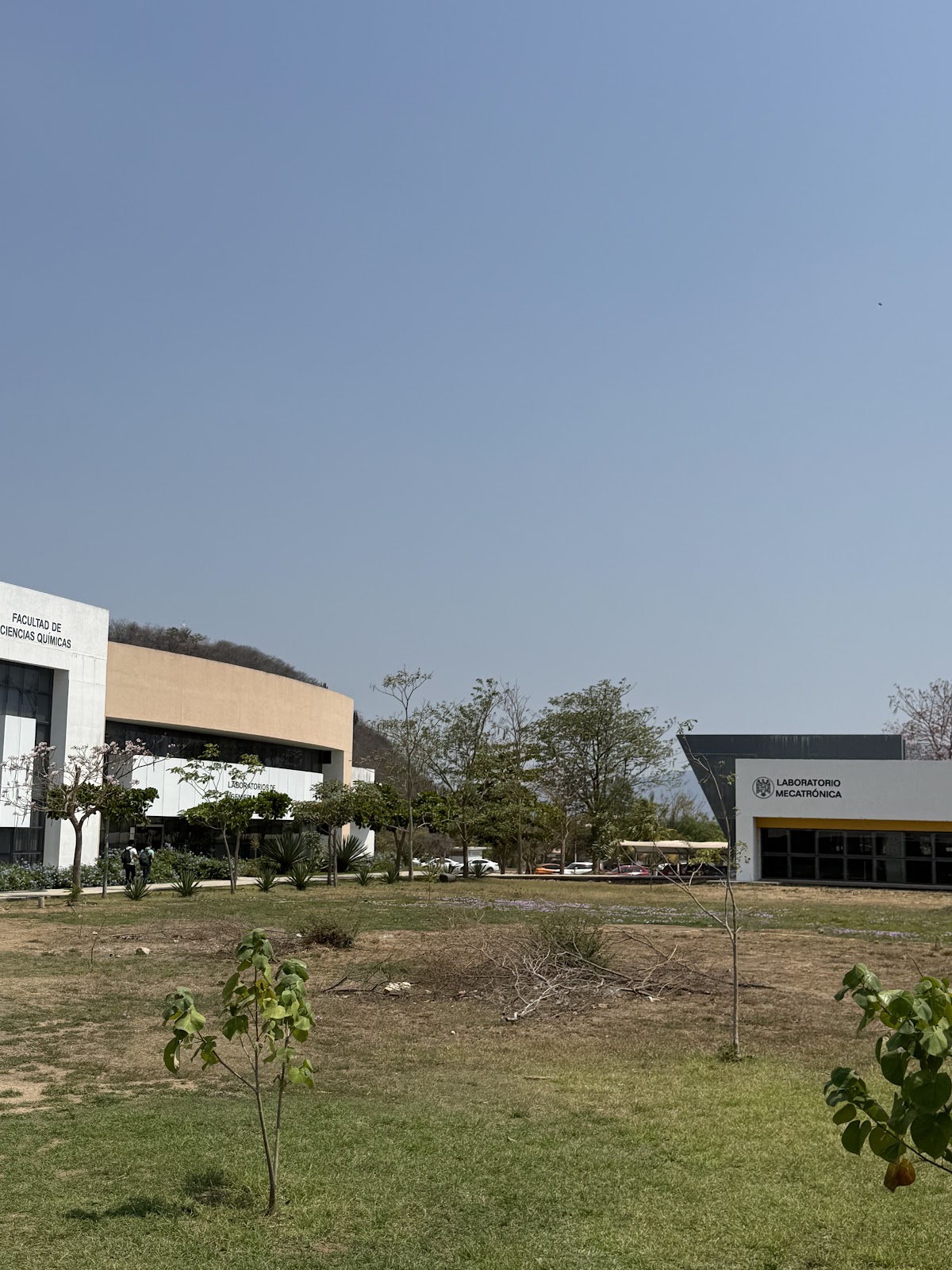 leetx-google-photo-85225-8 leetx-google-photo-85225-8