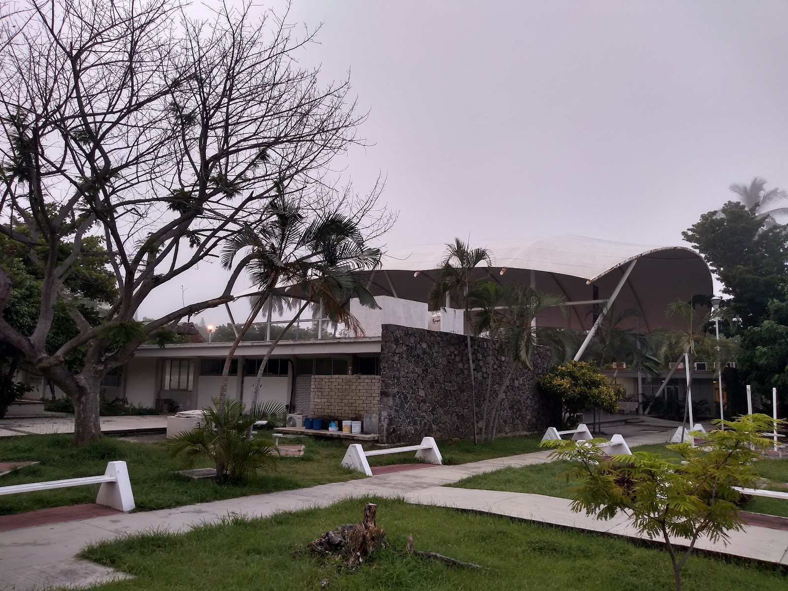 leetx-google-photo-85419-2 leetx-google-photo-85419-2