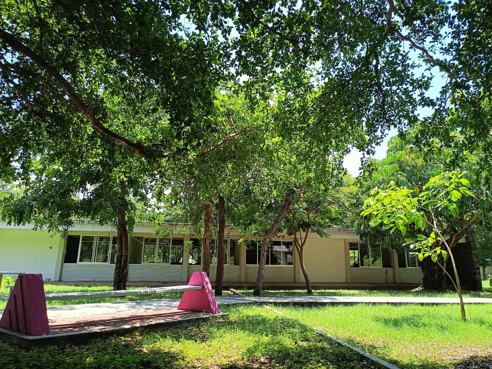 leetx-google-photo-85419-5 leetx-google-photo-85419-5