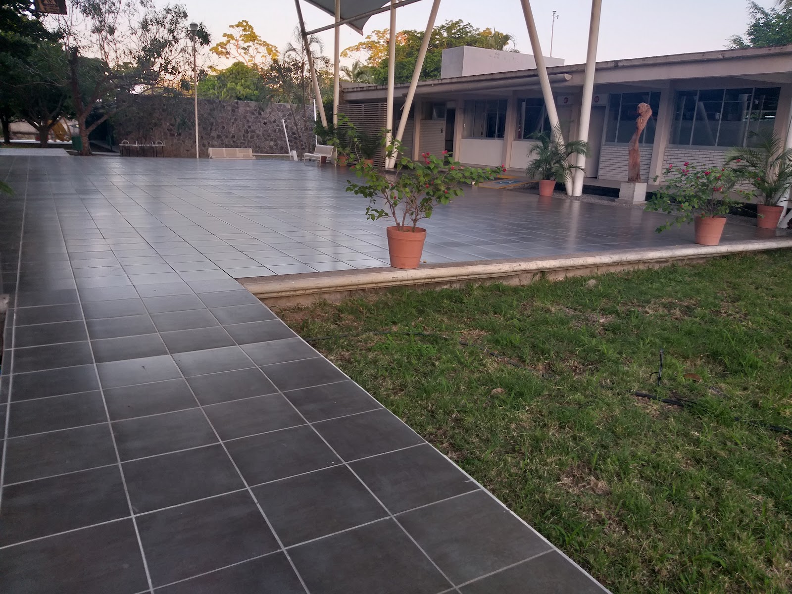 leetx-google-photo-85419-6 leetx-google-photo-85419-6