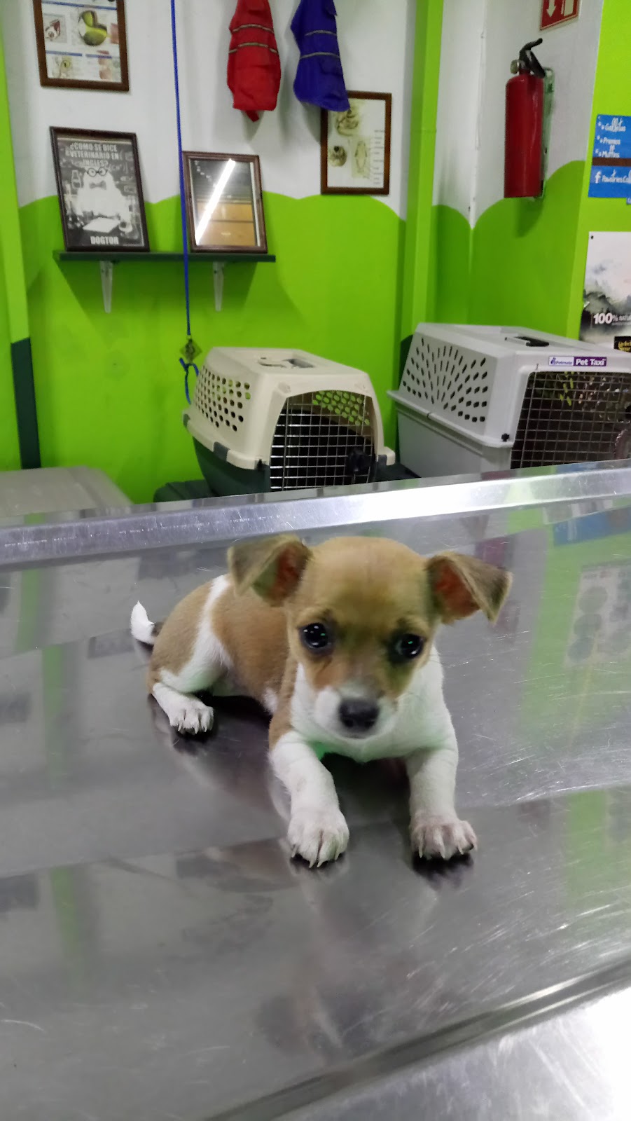 leetx-google-photo-85808-2 leetx-google-photo-85808-2