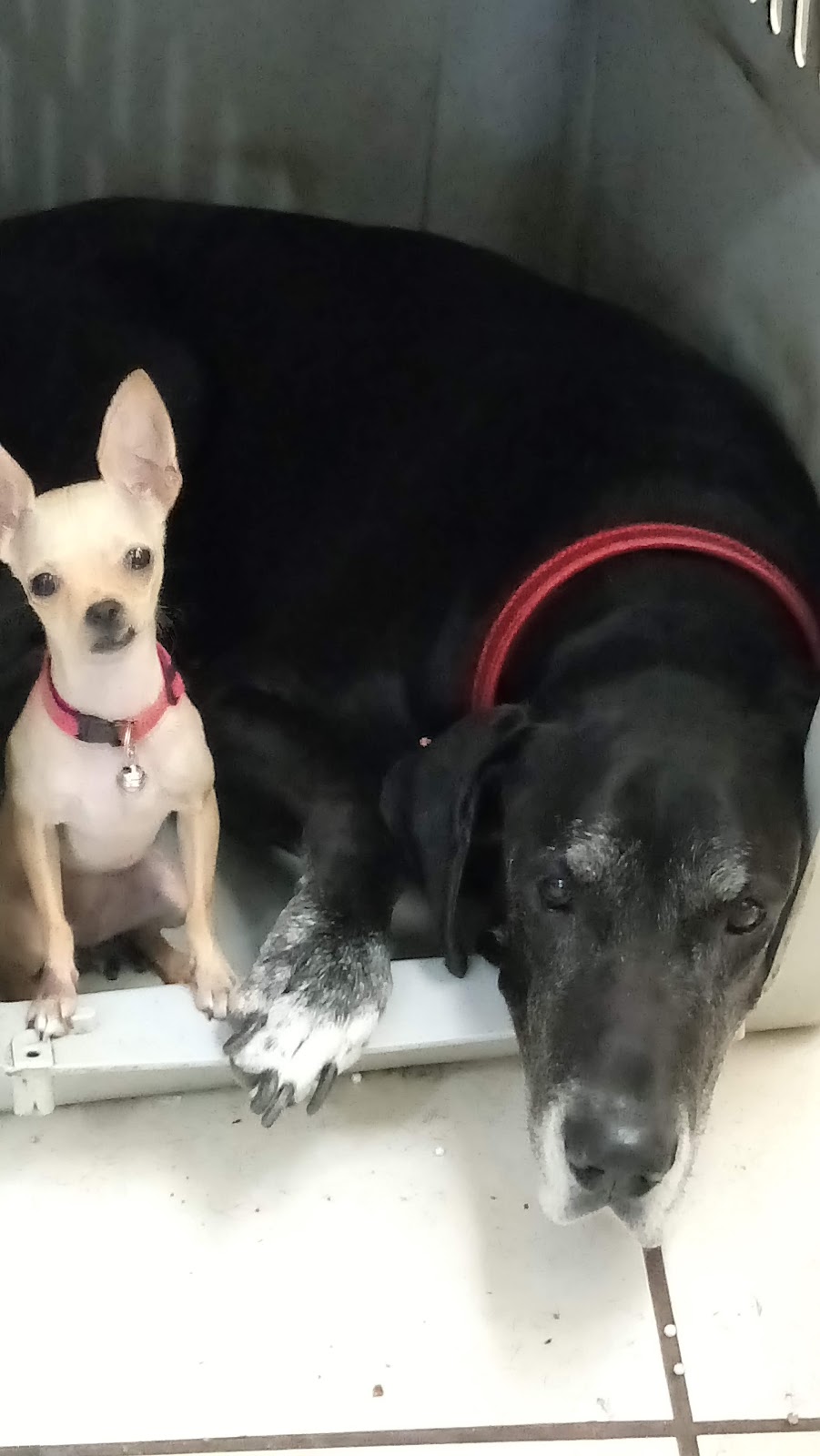 leetx-google-photo-85808-3 leetx-google-photo-85808-3