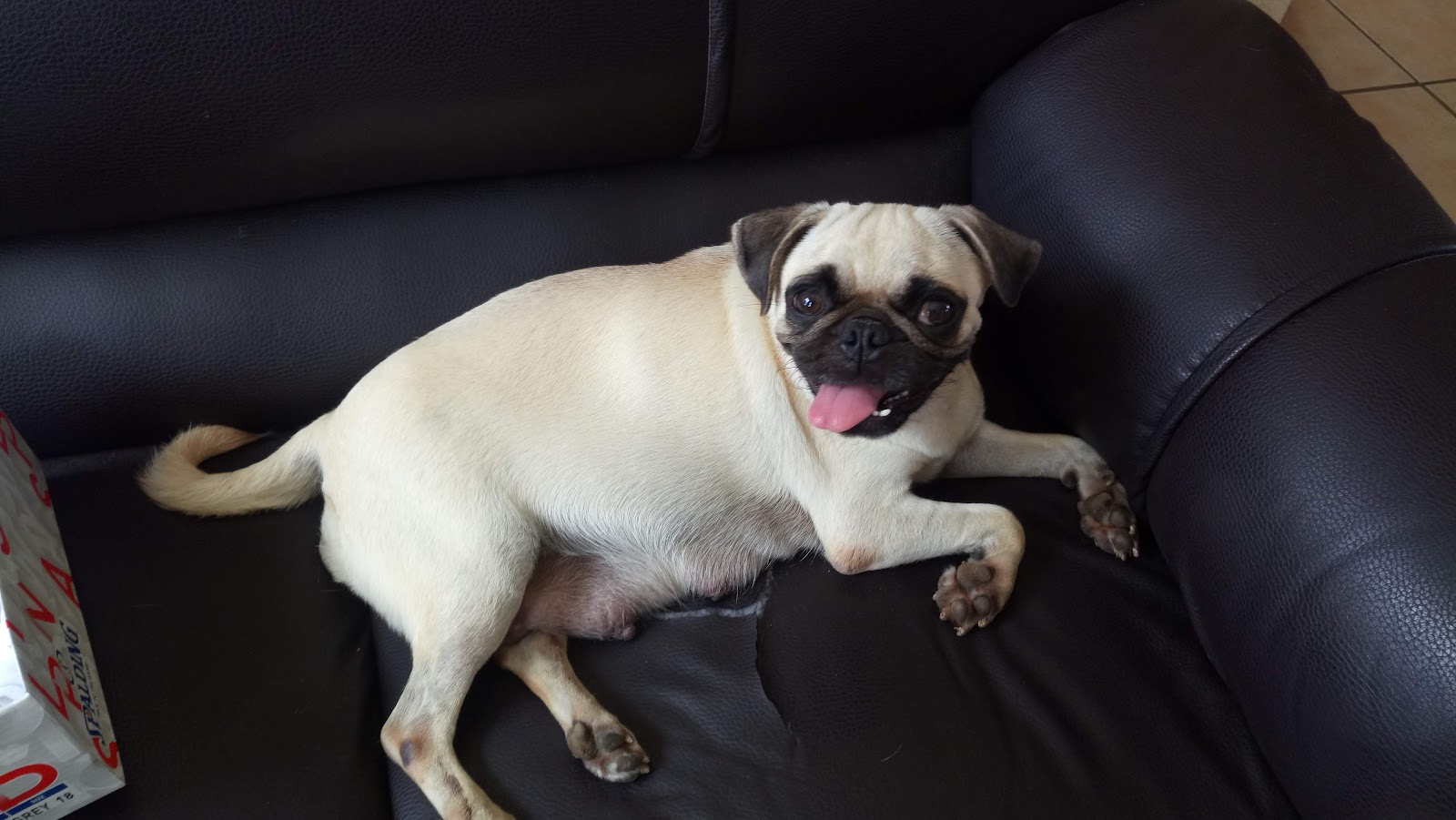 leetx-google-photo-85808-6 leetx-google-photo-85808-6