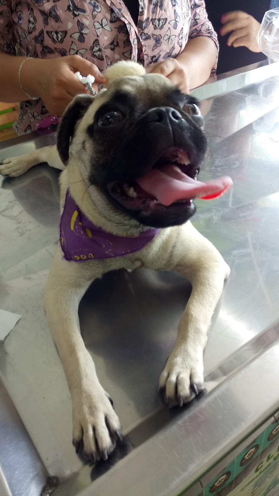 leetx-google-photo-85808-7 leetx-google-photo-85808-7