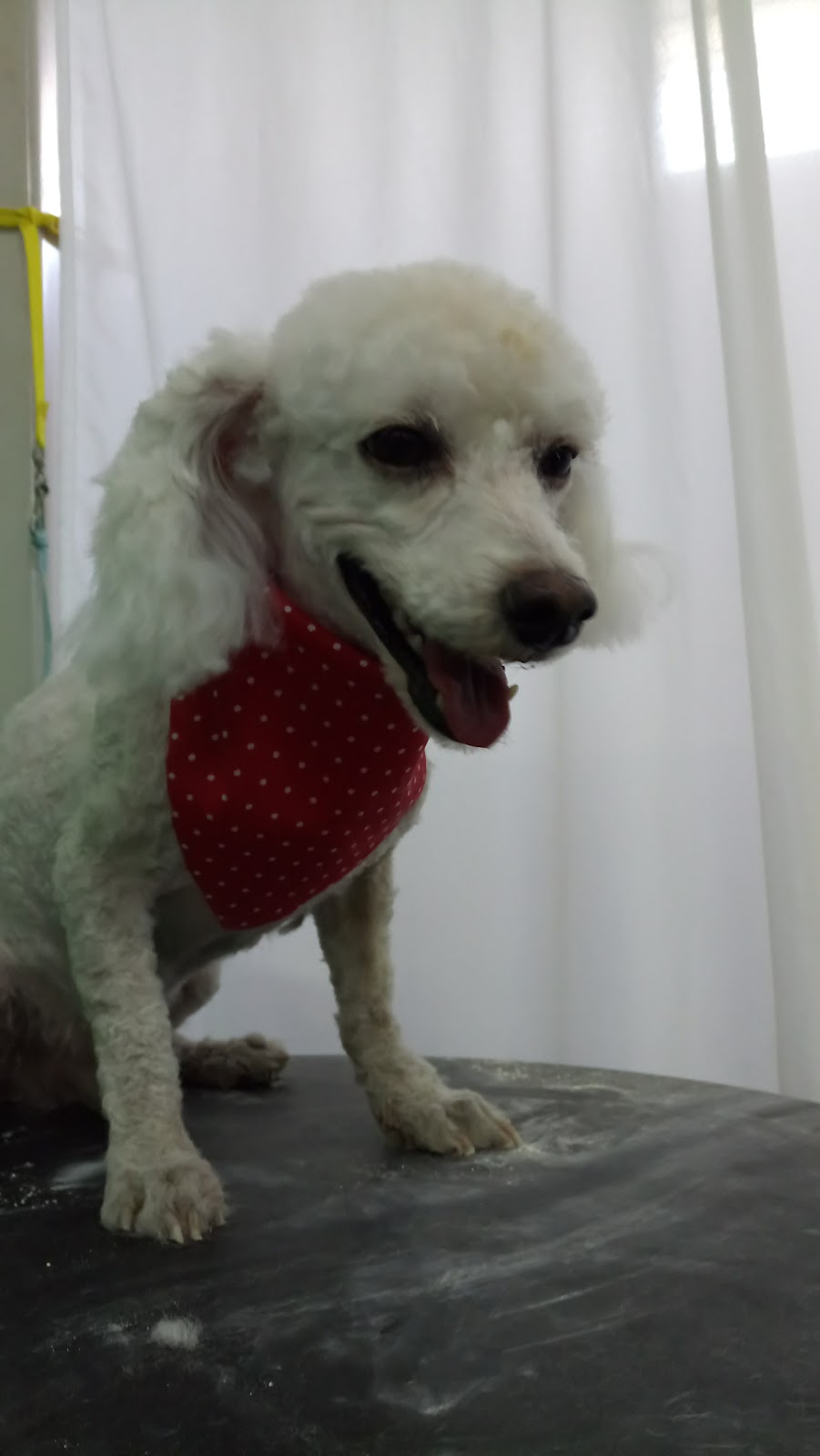 leetx-google-photo-85808-8 leetx-google-photo-85808-8