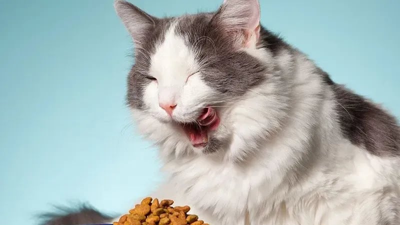 leetx-google-photo-85818-2 leetx-google-photo-85818-2