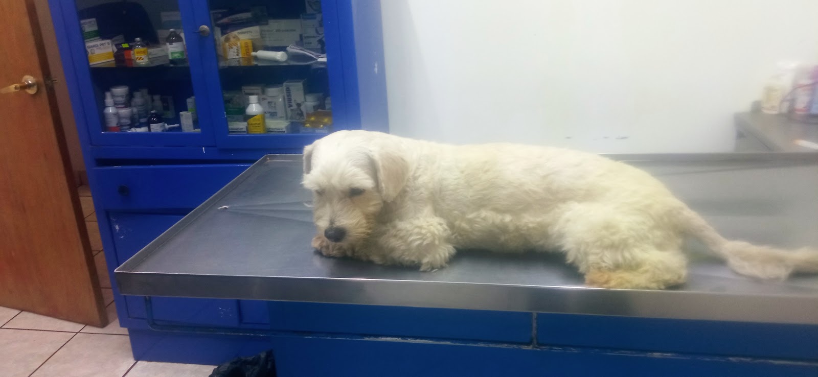 leetx-google-photo-85818-3 leetx-google-photo-85818-3