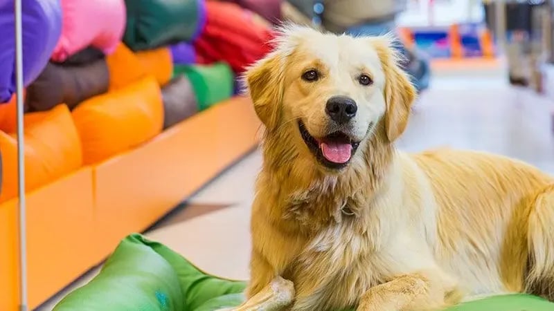 leetx-google-photo-85818-4 leetx-google-photo-85818-4