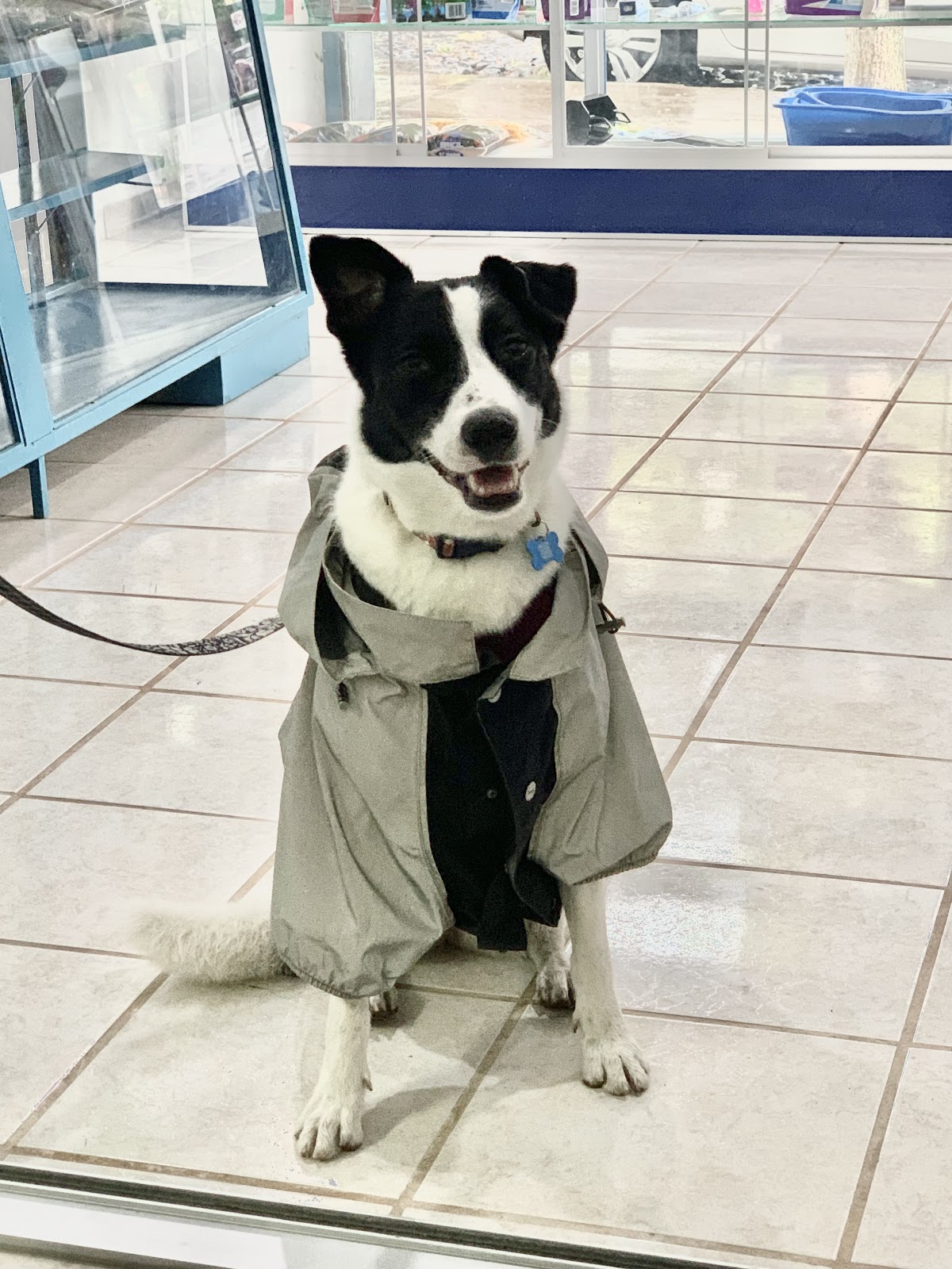 leetx-google-photo-85823-2 leetx-google-photo-85823-2