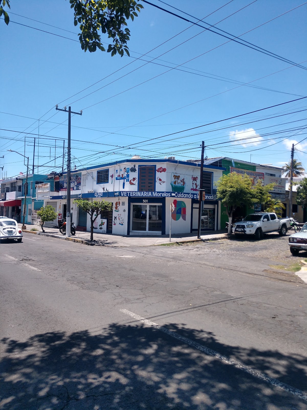 leetx-google-photo-85823-3 leetx-google-photo-85823-3