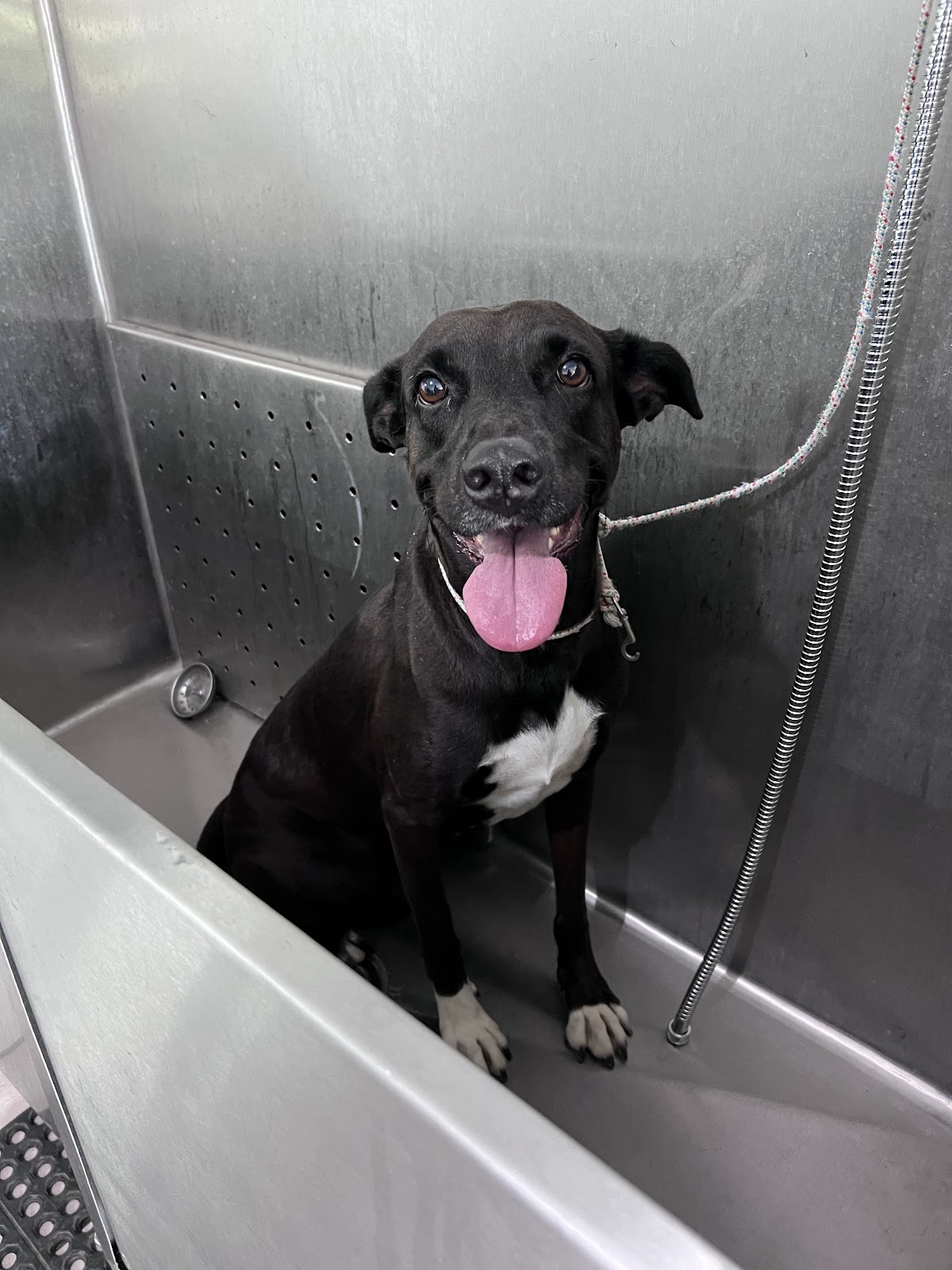 leetx-google-photo-85823-4 leetx-google-photo-85823-4