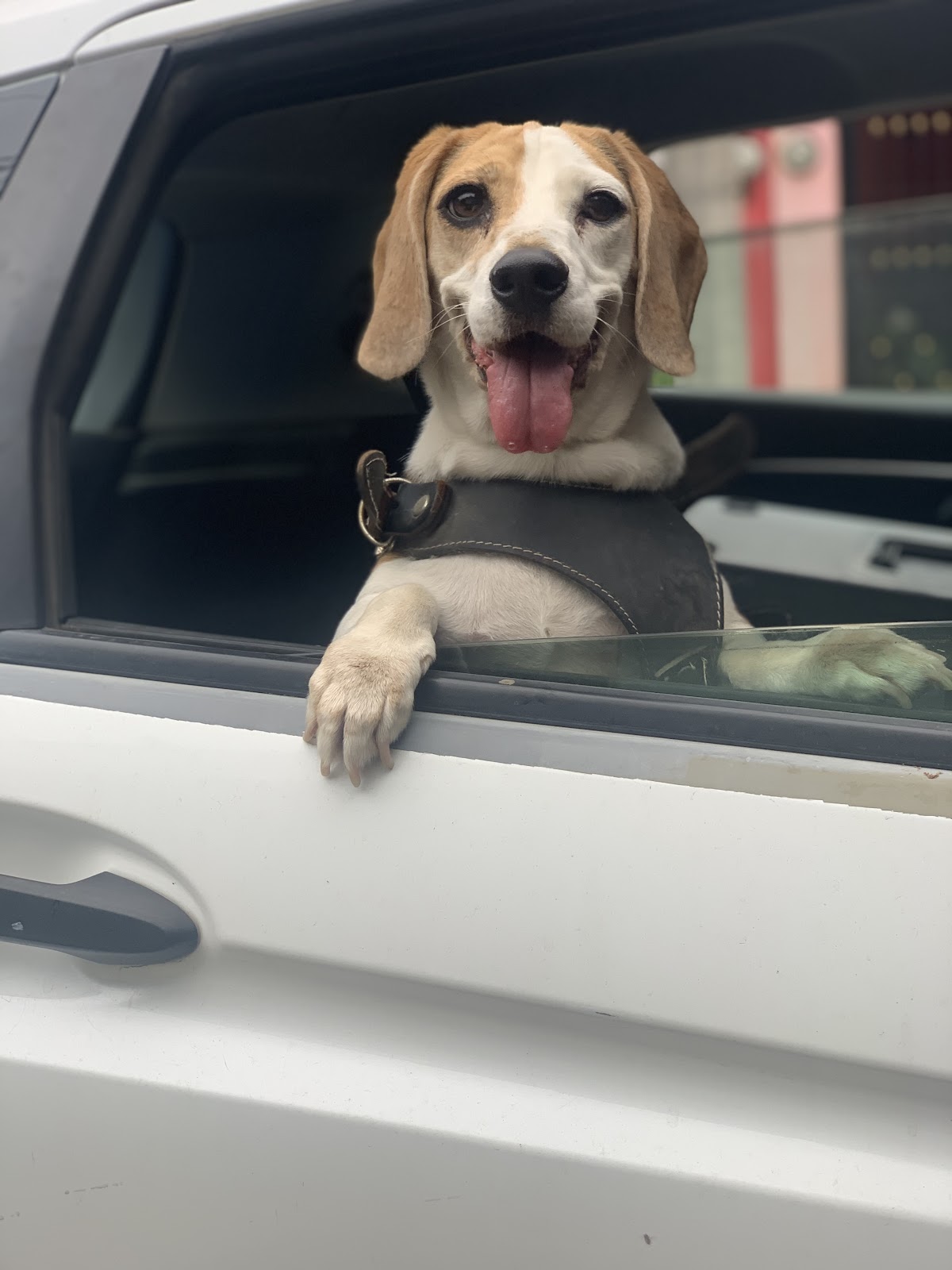 leetx-google-photo-85823-5 leetx-google-photo-85823-5