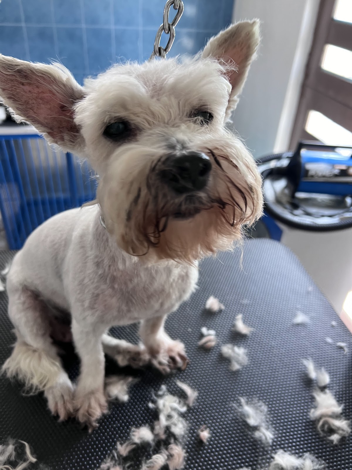 leetx-google-photo-85823-6 leetx-google-photo-85823-6