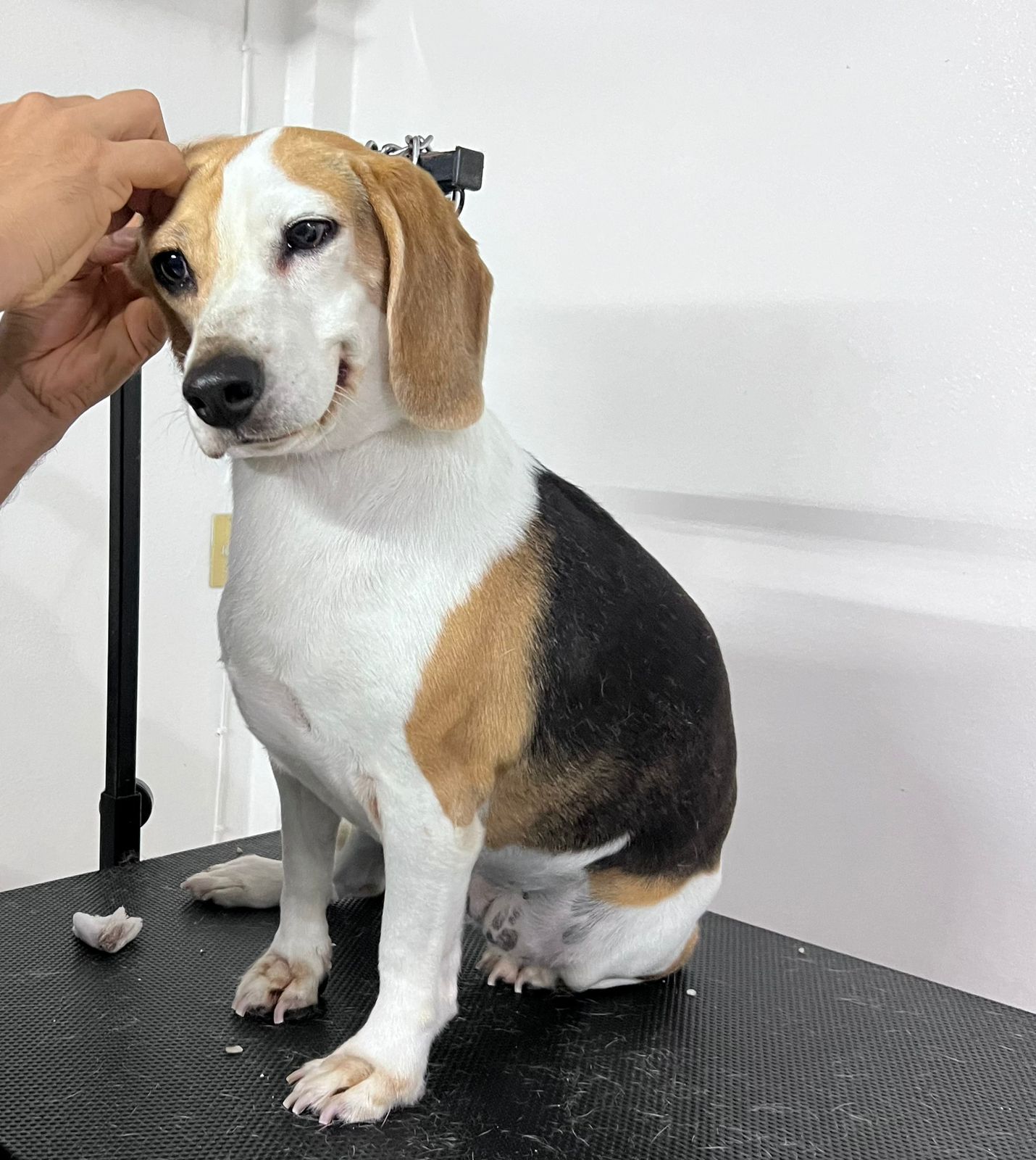 leetx-google-photo-85823-7 leetx-google-photo-85823-7