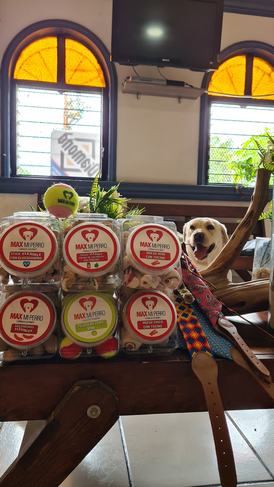 leetx-google-photo-85833-2 leetx-google-photo-85833-2