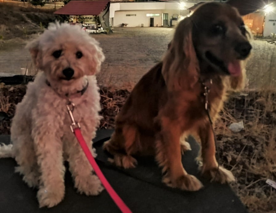 leetx-google-photo-85833-3 leetx-google-photo-85833-3