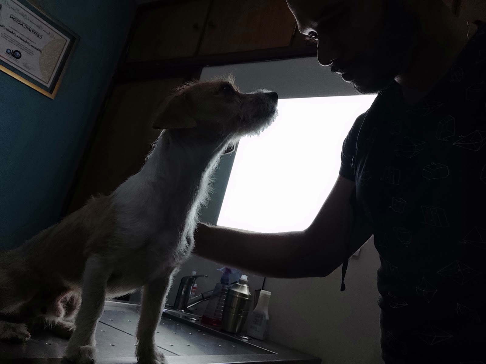 leetx-google-photo-85833-5 leetx-google-photo-85833-5