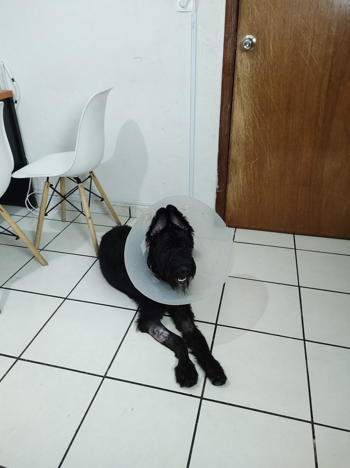 leetx-google-photo-85833-7 leetx-google-photo-85833-7