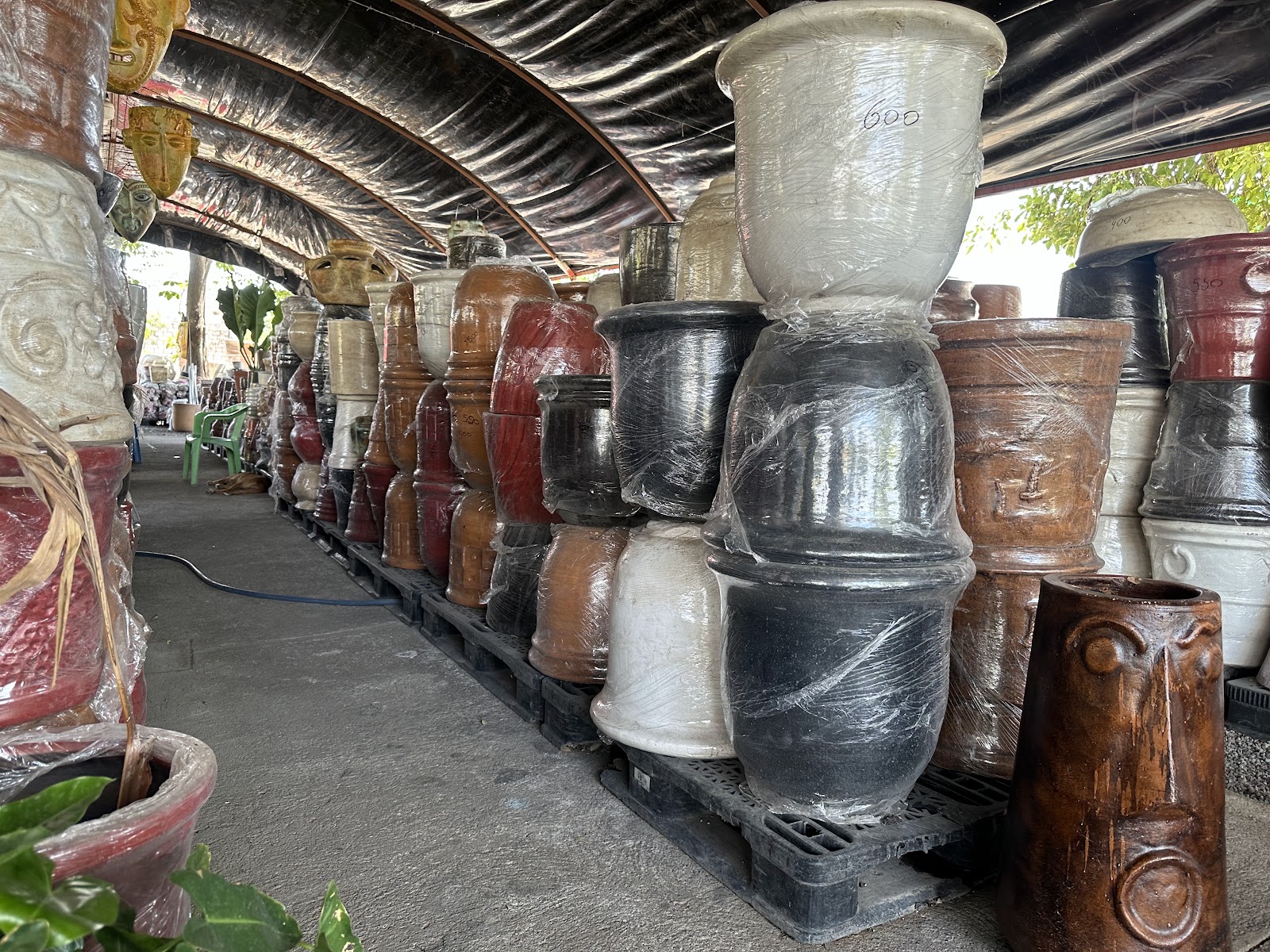 leetx-google-photo-86106-5 leetx-google-photo-86106-5