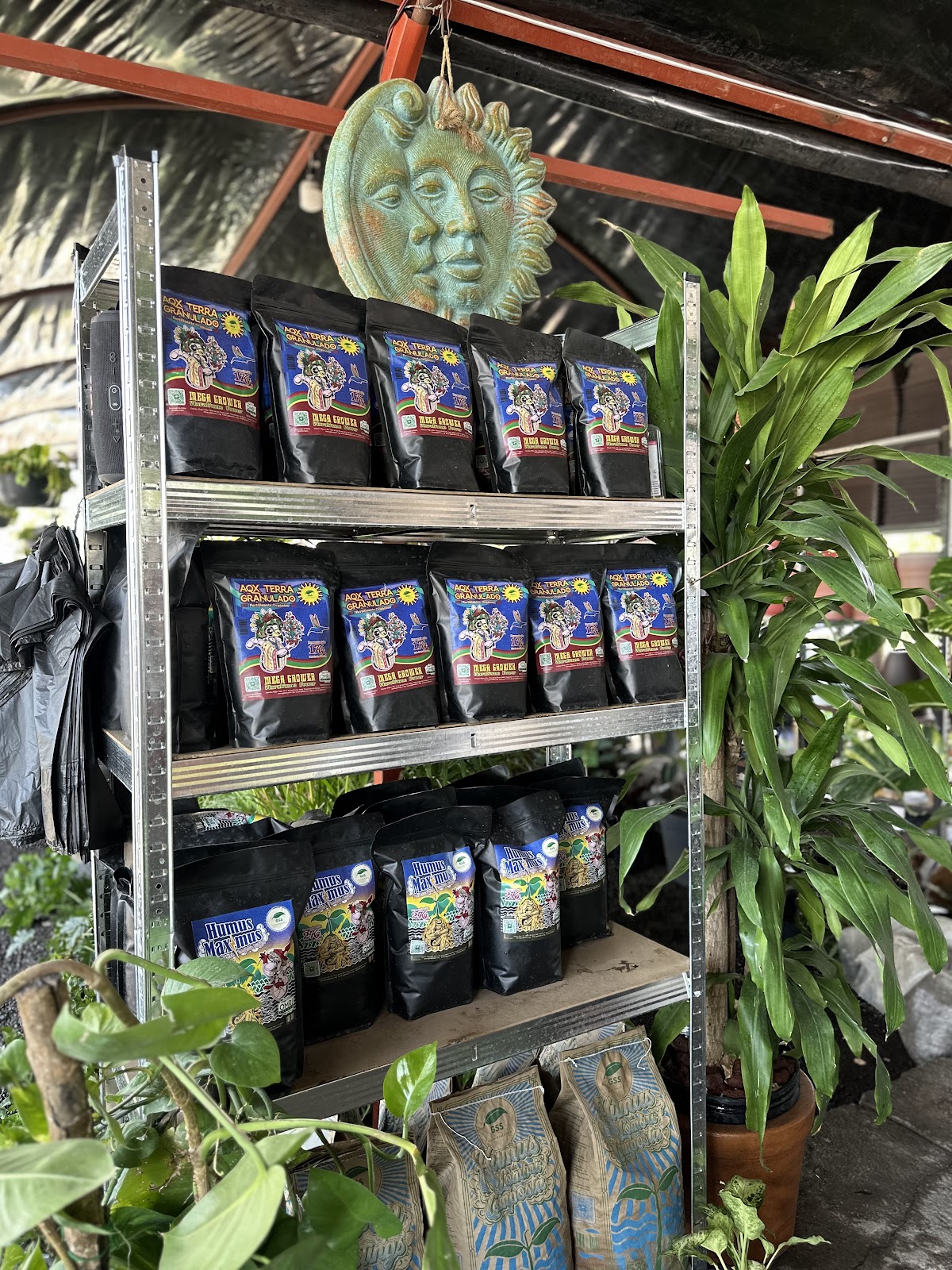 leetx-google-photo-86106-6 leetx-google-photo-86106-6